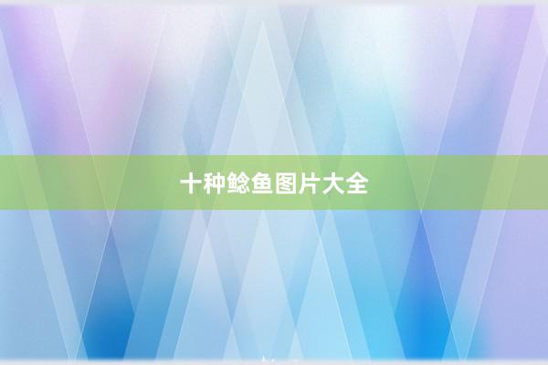 十种鲶鱼图片大全