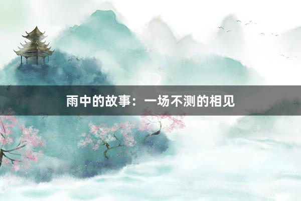 雨中的故事：一场不测的相见