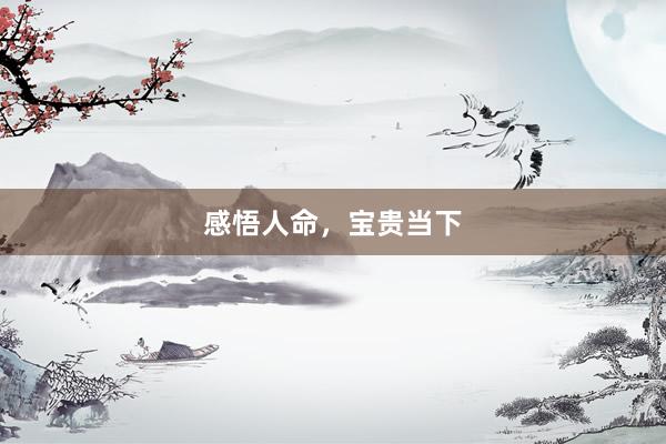 感悟人命，宝贵当下