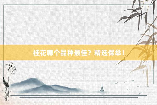 桂花哪个品种最佳？精选保举！