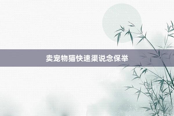 卖宠物猫快速渠说念保举